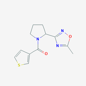 molecular formula C12H13N3O2S B7599111 [2-(5-Methyl-1,2,4-oxadiazol-3-yl)pyrrolidin-1-yl]-thiophen-3-ylmethanone 