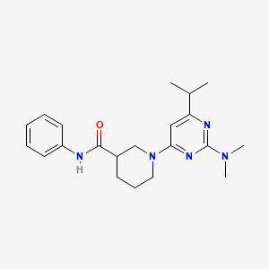 1-[2-(dimethylamino)-6-propan-2-ylpyrimidin-4-yl]-N-phenylpiperidine-3-carboxamide