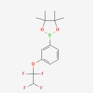 molecular formula C14H17BF4O3 B7599616 4,4,5,5-Tetramethyl-2-[3-(1,1,2,2-tetrafluoroethoxy)phenyl]-1,3,2-dioxaborolane 