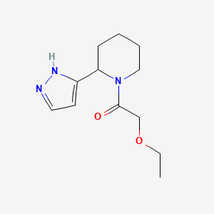 molecular formula C12H19N3O2 B7599794 2-ethoxy-1-[2-(1H-pyrazol-5-yl)piperidin-1-yl]ethanone 