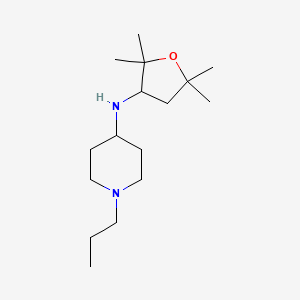 1-propyl-N-(2,2,5,5-tetramethyloxolan-3-yl)piperidin-4-amine