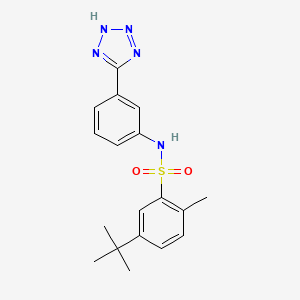 molecular formula C18H21N5O2S B7601356 5-tert-butyl-2-methyl-N-[3-(2H-tetrazol-5-yl)phenyl]benzenesulfonamide 