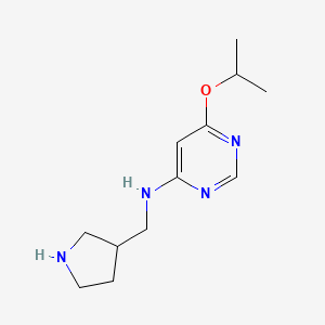 6-propan-2-yloxy-N-(pyrrolidin-3-ylmethyl)pyrimidin-4-amine