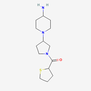 molecular formula C14H25N3OS B7602467 [3-(4-Aminopiperidin-1-yl)pyrrolidin-1-yl]-(thiolan-2-yl)methanone 