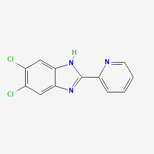 molecular formula C12H7Cl2N3 B7604694 5,6-dichloro-2-pyridin-2-yl-1H-benzimidazole 