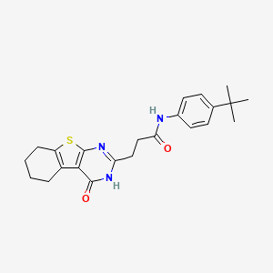 molecular formula C23H27N3O2S B7605535 N-(4-tert-butylphenyl)-3-(4-oxo-5,6,7,8-tetrahydro-3H-[1]benzothiolo[2,3-d]pyrimidin-2-yl)propanamide 