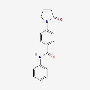 molecular formula C17H16N2O2 B7606648 4-(2-oxopyrrolidin-1-yl)-N-phenylbenzamide 