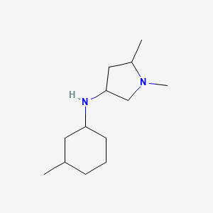 1,5-dimethyl-N-(3-methylcyclohexyl)pyrrolidin-3-amine