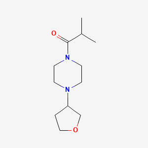 molecular formula C12H22N2O2 B7608121 2-Methyl-1-[4-(oxolan-3-yl)piperazin-1-yl]propan-1-one 