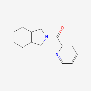 molecular formula C14H18N2O B7609297 1,3,3a,4,5,6,7,7a-Octahydroisoindol-2-yl(pyridin-2-yl)methanone 