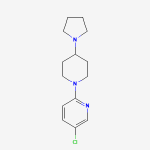 molecular formula C14H20ClN3 B7609601 5-Chloro-2-(4-pyrrolidin-1-ylpiperidin-1-yl)pyridine 