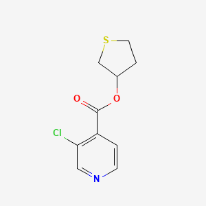 Thiolan-3-yl 3-chloropyridine-4-carboxylate