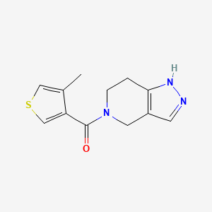 molecular formula C12H13N3OS B7610359 (4-Methylthiophen-3-yl)-(1,4,6,7-tetrahydropyrazolo[4,3-c]pyridin-5-yl)methanone 