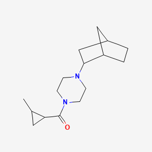 molecular formula C16H26N2O B7610482 [4-(2-Bicyclo[2.2.1]heptanyl)piperazin-1-yl]-(2-methylcyclopropyl)methanone 