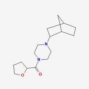 [4-(2-Bicyclo[2.2.1]heptanyl)piperazin-1-yl]-(oxolan-2-yl)methanone