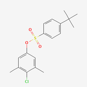 (4-Chloro-3,5-dimethylphenyl) 4-tert-butylbenzenesulfonate