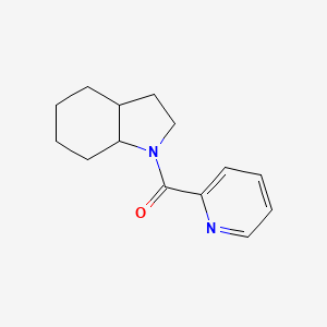 molecular formula C14H18N2O B7612690 2,3,3a,4,5,6,7,7a-Octahydroindol-1-yl(pyridin-2-yl)methanone 