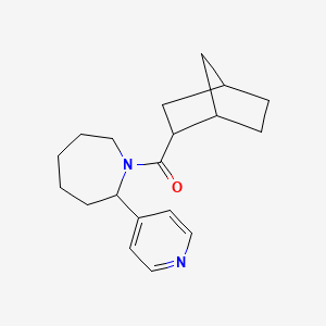 molecular formula C19H26N2O B7612834 2-Bicyclo[2.2.1]heptanyl-(2-pyridin-4-ylazepan-1-yl)methanone 