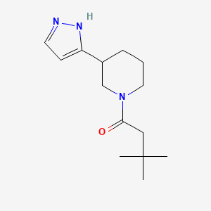 molecular formula C14H23N3O B7612989 3,3-dimethyl-1-[3-(1H-pyrazol-5-yl)piperidin-1-yl]butan-1-one 