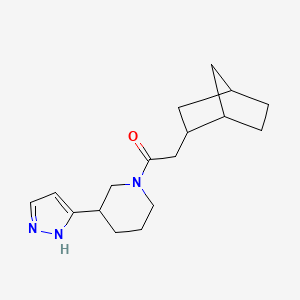 molecular formula C17H25N3O B7613000 2-(2-bicyclo[2.2.1]heptanyl)-1-[3-(1H-pyrazol-5-yl)piperidin-1-yl]ethanone 