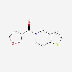 6,7-dihydro-4H-thieno[3,2-c]pyridin-5-yl(oxolan-3-yl)methanone