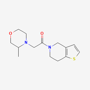 molecular formula C14H20N2O2S B7613382 1-(6,7-dihydro-4H-thieno[3,2-c]pyridin-5-yl)-2-(3-methylmorpholin-4-yl)ethanone 