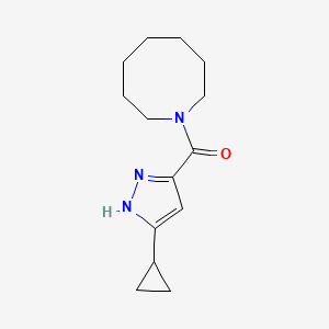 azocan-1-yl-(5-cyclopropyl-1H-pyrazol-3-yl)methanone