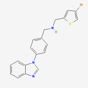 molecular formula C19H16BrN3S B7614005 1-[4-(benzimidazol-1-yl)phenyl]-N-[(4-bromothiophen-2-yl)methyl]methanamine 