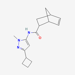 molecular formula C16H21N3O B7614809 N-(5-cyclobutyl-2-methylpyrazol-3-yl)bicyclo[2.2.1]hept-5-ene-2-carboxamide 