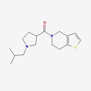 molecular formula C16H24N2OS B7616210 6,7-dihydro-4H-thieno[3,2-c]pyridin-5-yl-[1-(2-methylpropyl)pyrrolidin-3-yl]methanone 