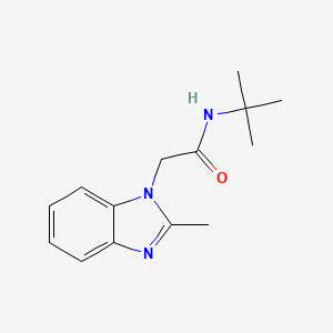 molecular formula C14H19N3O B7616510 N-tert-butyl-2-(2-methylbenzimidazol-1-yl)acetamide 