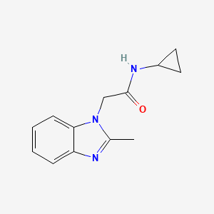 molecular formula C13H15N3O B7616579 N-cyclopropyl-2-(2-methylbenzimidazol-1-yl)acetamide 