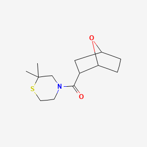 molecular formula C13H21NO2S B7616793 (2,2-Dimethylthiomorpholin-4-yl)-(7-oxabicyclo[2.2.1]heptan-2-yl)methanone 