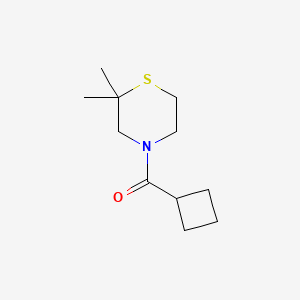 Cyclobutyl-(2,2-dimethylthiomorpholin-4-yl)methanone