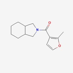 molecular formula C14H19NO2 B7617038 1,3,3a,4,5,6,7,7a-Octahydroisoindol-2-yl-(2-methylfuran-3-yl)methanone 