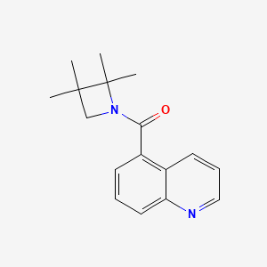 Quinolin-5-yl-(2,2,3,3-tetramethylazetidin-1-yl)methanone