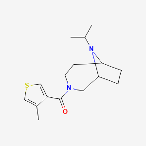 molecular formula C16H24N2OS B7618620 (4-Methylthiophen-3-yl)-(9-propan-2-yl-3,9-diazabicyclo[4.2.1]nonan-3-yl)methanone 