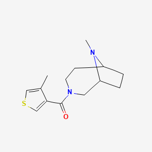 molecular formula C14H20N2OS B7618633 (9-Methyl-3,9-diazabicyclo[4.2.1]nonan-3-yl)-(4-methylthiophen-3-yl)methanone 