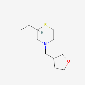 molecular formula C12H23NOS B7619276 4-(Oxolan-3-ylmethyl)-2-propan-2-ylthiomorpholine 