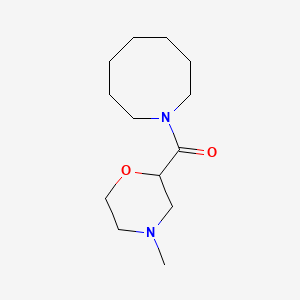 molecular formula C13H24N2O2 B7619471 Azocan-1-yl-(4-methylmorpholin-2-yl)methanone 