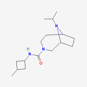 N-(3-methylcyclobutyl)-9-propan-2-yl-3,9-diazabicyclo[4.2.1]nonane-3-carboxamide