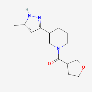 [3-(5-methyl-1H-pyrazol-3-yl)piperidin-1-yl]-(oxolan-3-yl)methanone