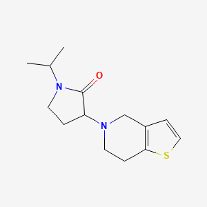 molecular formula C14H20N2OS B7619657 3-(6,7-dihydro-4H-thieno[3,2-c]pyridin-5-yl)-1-propan-2-ylpyrrolidin-2-one 