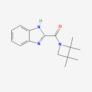 molecular formula C15H19N3O B7619707 1H-benzimidazol-2-yl-(2,2,3,3-tetramethylazetidin-1-yl)methanone 