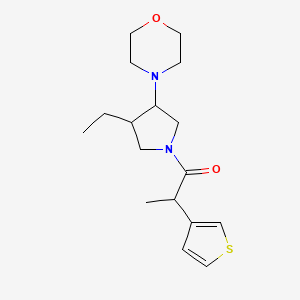 1-(3-Ethyl-4-morpholin-4-ylpyrrolidin-1-yl)-2-thiophen-3-ylpropan-1-one