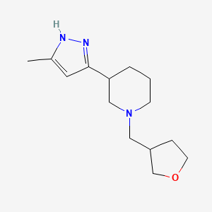 3-(5-methyl-1H-pyrazol-3-yl)-1-(oxolan-3-ylmethyl)piperidine