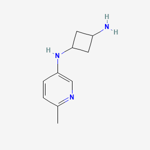 molecular formula C10H15N3 B7619768 1-N-(6-methylpyridin-3-yl)cyclobutane-1,3-diamine 