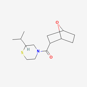 molecular formula C14H23NO2S B7619933 7-Oxabicyclo[2.2.1]heptan-2-yl-(2-propan-2-ylthiomorpholin-4-yl)methanone 