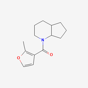 molecular formula C14H19NO2 B7620640 2,3,4,4a,5,6,7,7a-Octahydrocyclopenta[b]pyridin-1-yl-(2-methylfuran-3-yl)methanone 