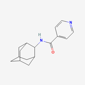 N-(2-adamantyl)pyridine-4-carboxamide